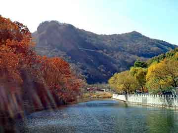 新澳天天开奖资料大全旅游团，现代热水器